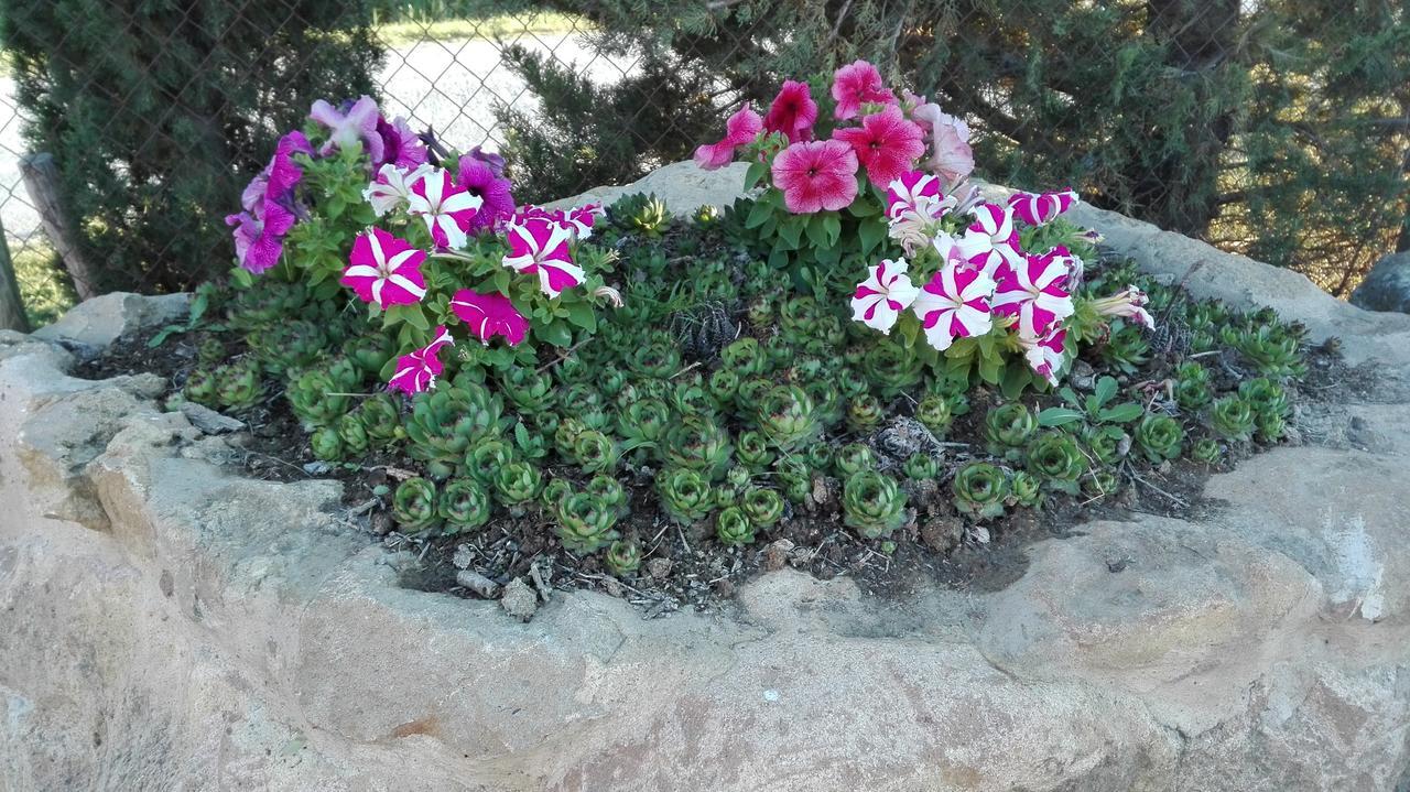 פיינצה Agriturismo Casalpiano מראה חיצוני תמונה