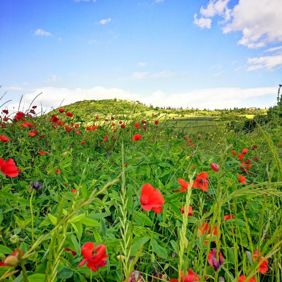 פיינצה Agriturismo Casalpiano מראה חיצוני תמונה
