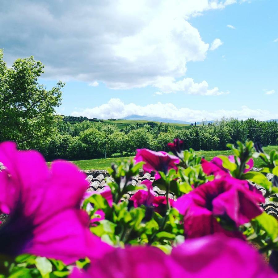 פיינצה Agriturismo Casalpiano מראה חיצוני תמונה